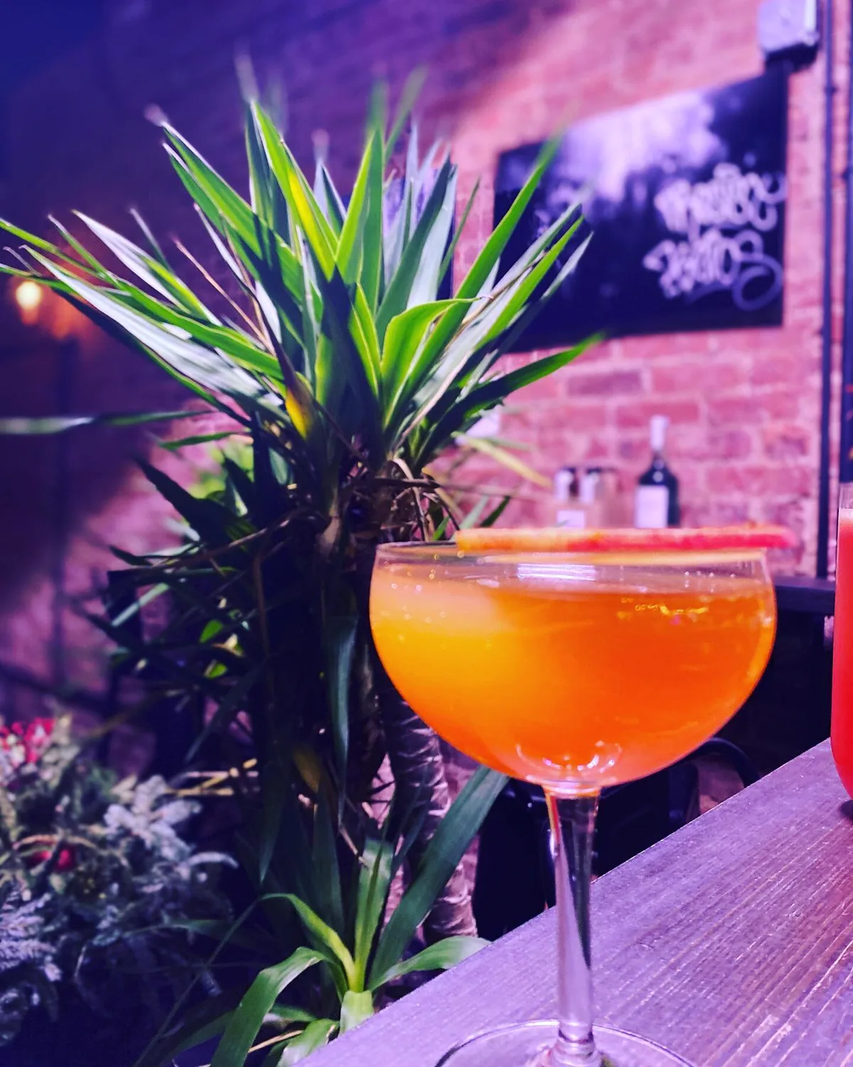 An orange cocktail in a coupe glass next to a plant at L'Wren